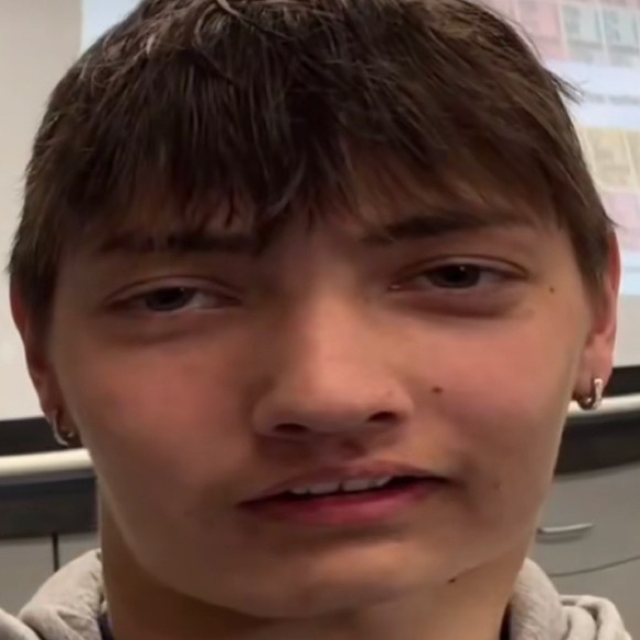 Meet your Posher, Joey - Picture 1 of 1